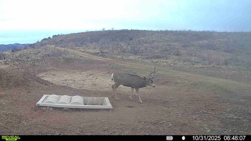 016578003984348-86-3-10312025130816-HD-SYFW01282