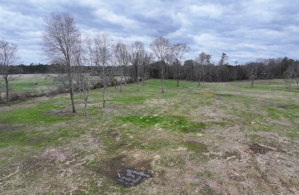 Copy of Copy of dji_fly_20260217_142846_0135_1771436910251_photo