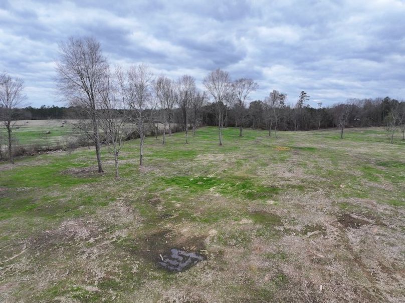 Copy of Copy of dji_fly_20260217_142846_0135_1771436910251_photo