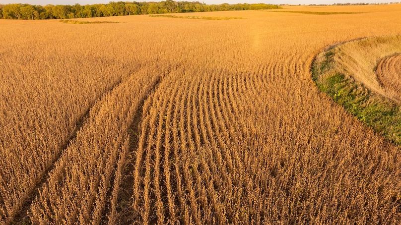 Copy of POTTAWATTAMIE CO IA 311 TRACT 1_8