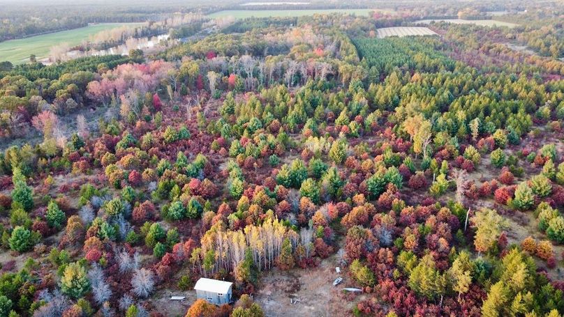 dji_fly_20241011_175400_460_1728687425196_photo_optimized 2