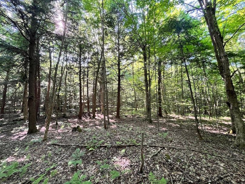 Jefferson_260.3_ Lobach_Photos_37