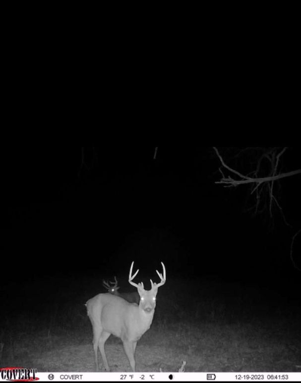 Screenshot_20231219_070337_CovertWireless