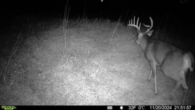 TRAIL CAM 4