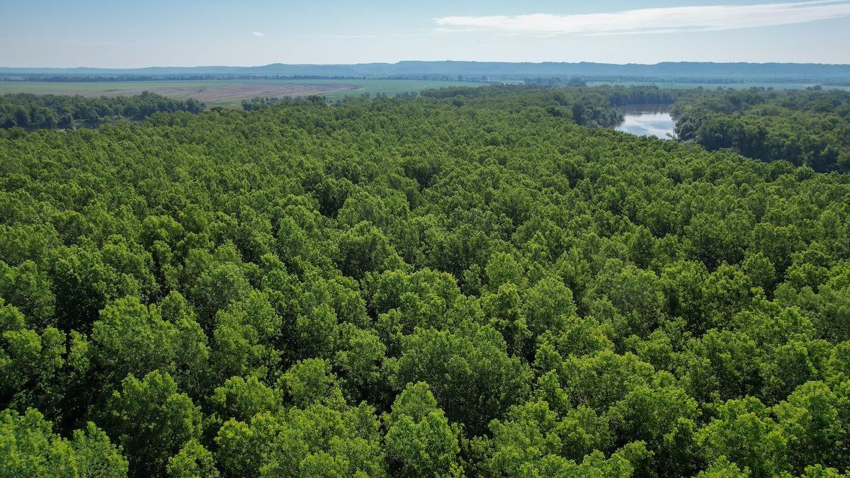 WRP Property Bordering The Big Muddy River And Mississippi River
