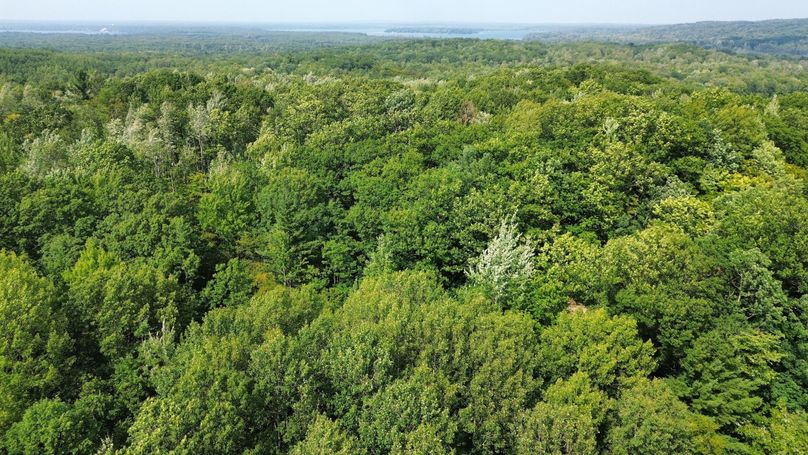 dji_fly_20230809_154930_198_1691610602606_photo_optimized