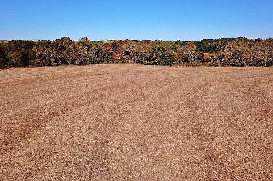 DJI_0055