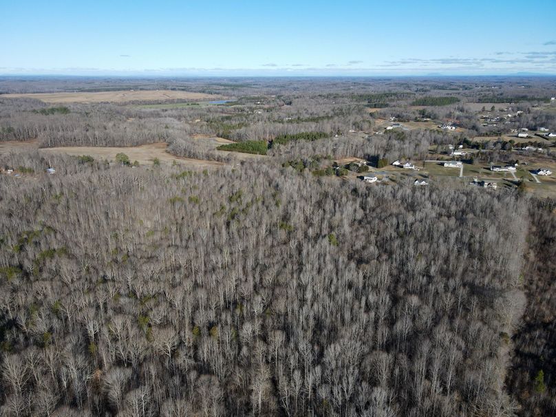 dji_fly_20240129_092022_763_1706538141261_photo