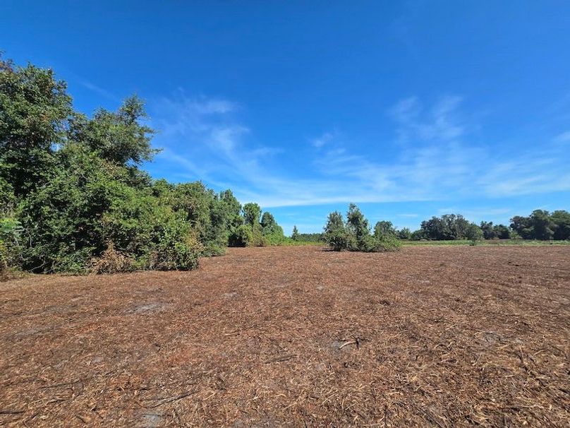 21ac, Sumter, Reelvest24