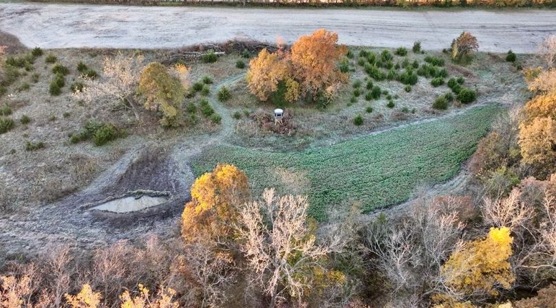 Screenshot 2025-11-20 at 10.09.35 AM