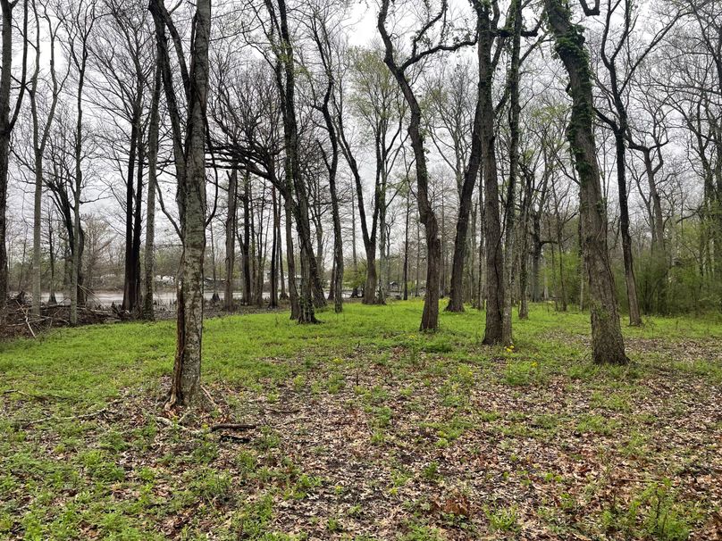 C1B797BF-85CE-4346-89EF-9169F833E667