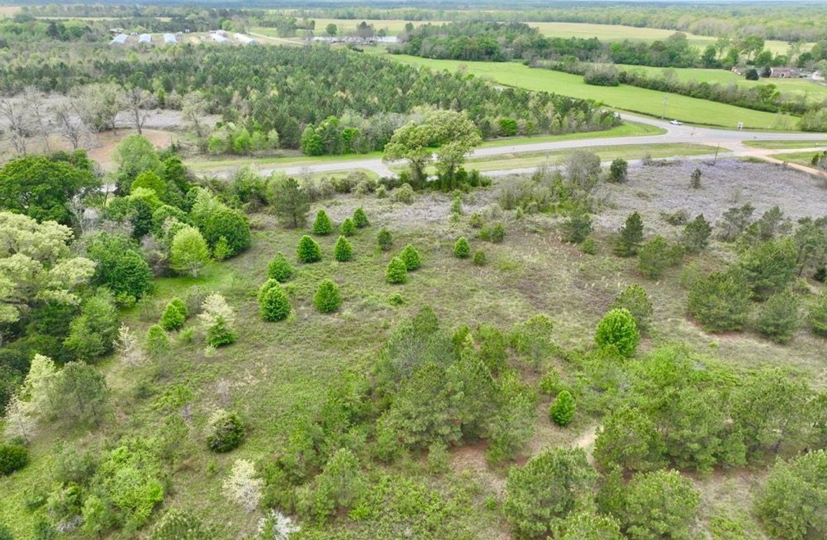 dji_fly_20250403_134448_649_1743702532283_photo