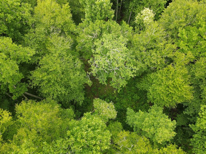 Swain 39 Tysinger-19