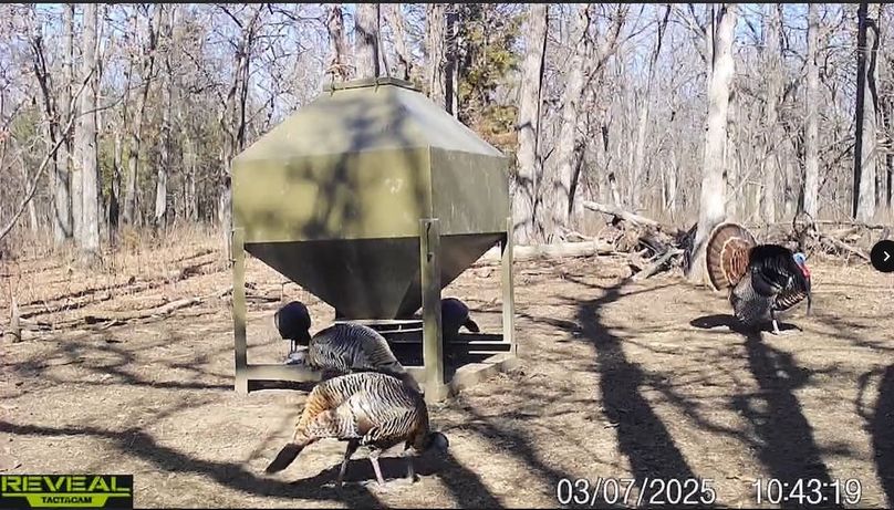 Screenshot_24-1-2026_82217_drive.google.com