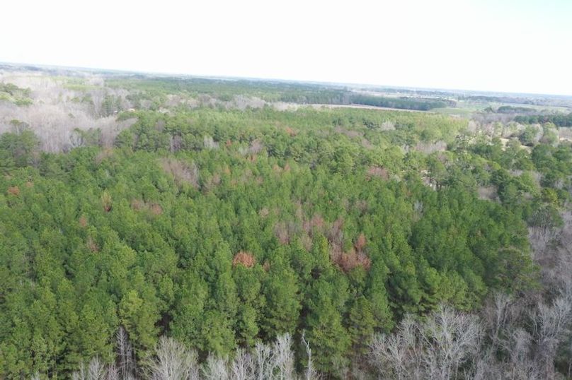DJI_0171