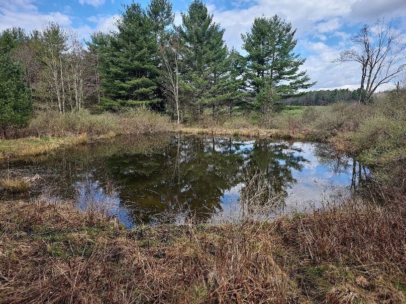 photo_3244dd7b-eb99-4de9-81d5-56e063177a35