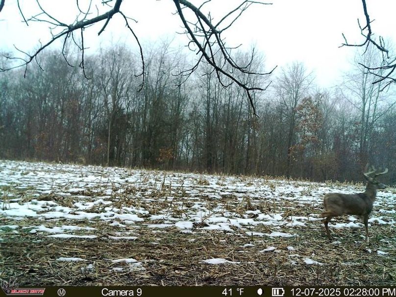 E693D371-CC19-4F35-A1BC-FF5ADF9DC210