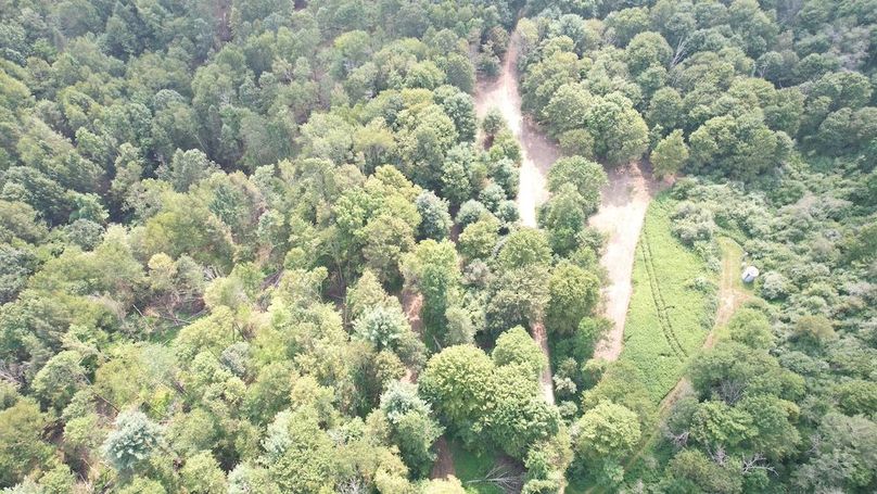 dji_fly_20250806_151946_615_1754528911294_photo