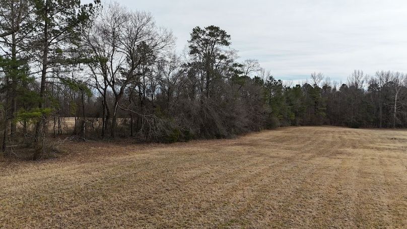 dji_fly_20260212_143742_0307_1770925836177_photo