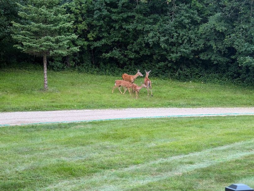 PXL_20240816_011143332.NIGHT