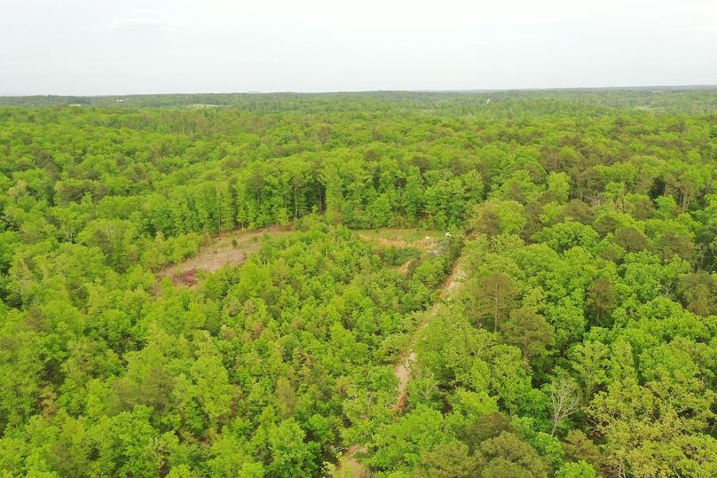 DJI_0801