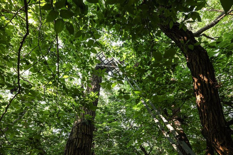 HARRISON CO. IA 24.85_76