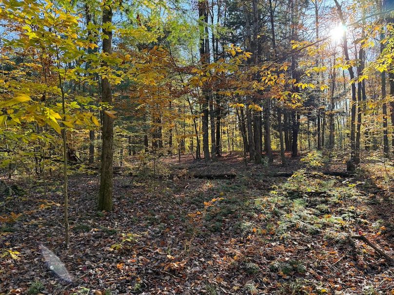 Oswego_26.28_Koehler Photo 23