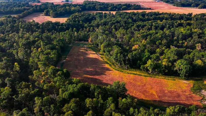 dji_fly_20250917_085134_0518_1758113880532_photo