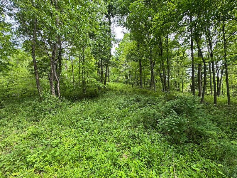 Pleasants, WV 168.59 AC Superior, Swank, Young-076