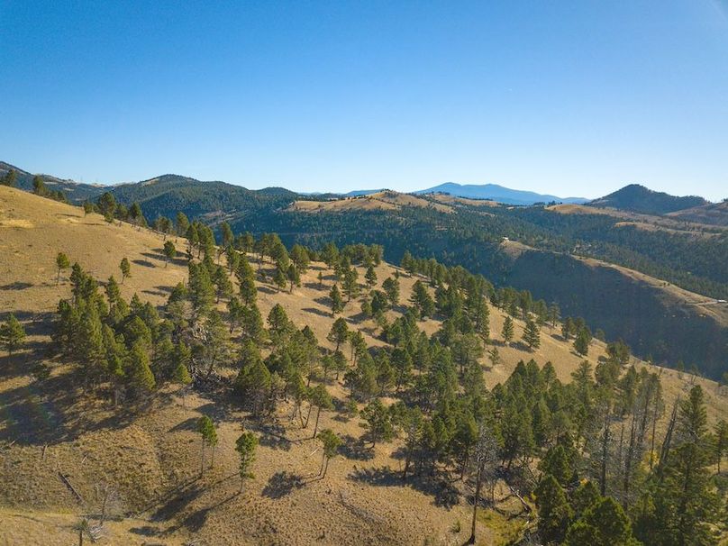 20240925-DJI_0211