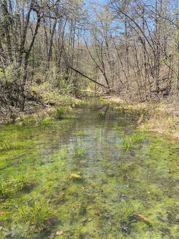 Carter Gordon 70 +_- 021