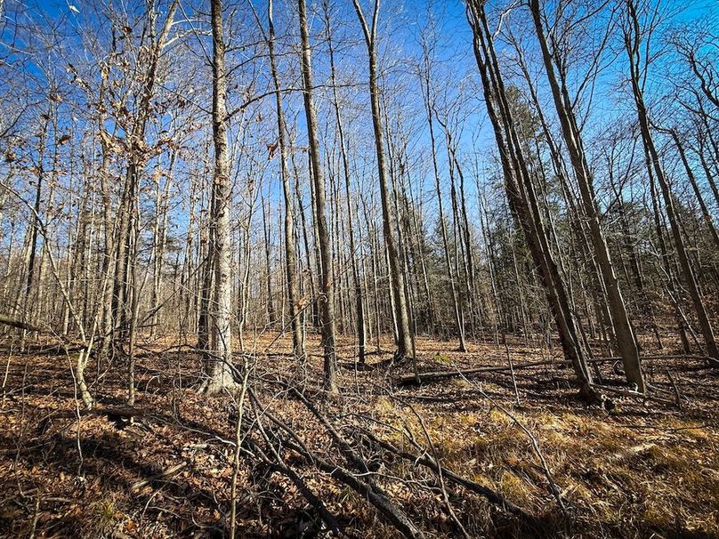 Chemung_31.75_Seymour_South_Photos_21