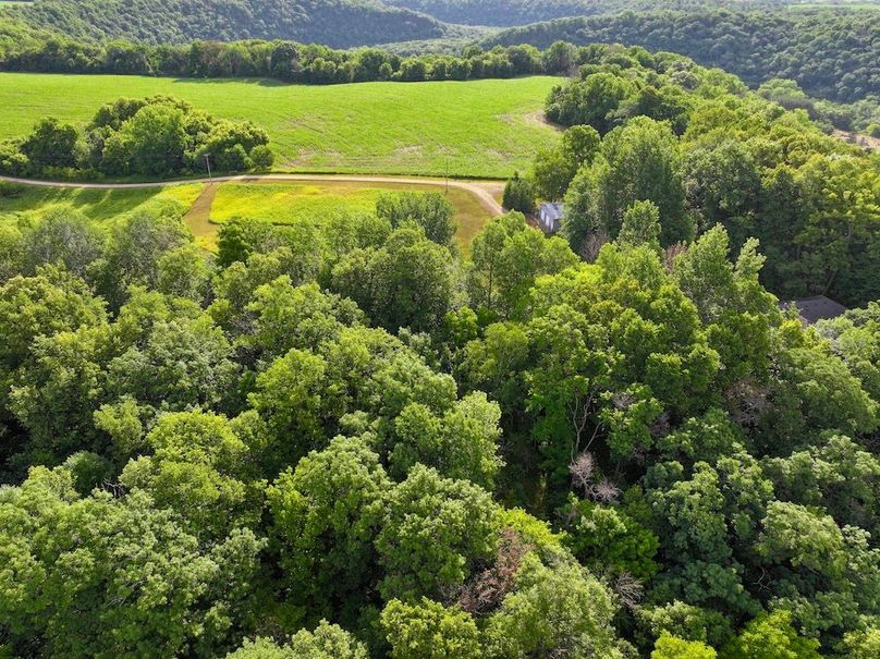 DJI_20230707082439_0015_D