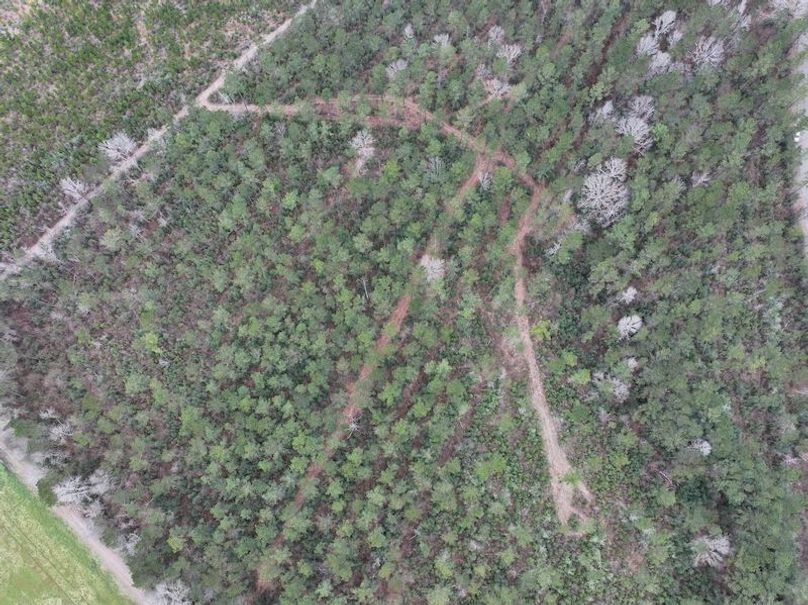 dji_fly_20260217_132722_0113_1771436922564_photo