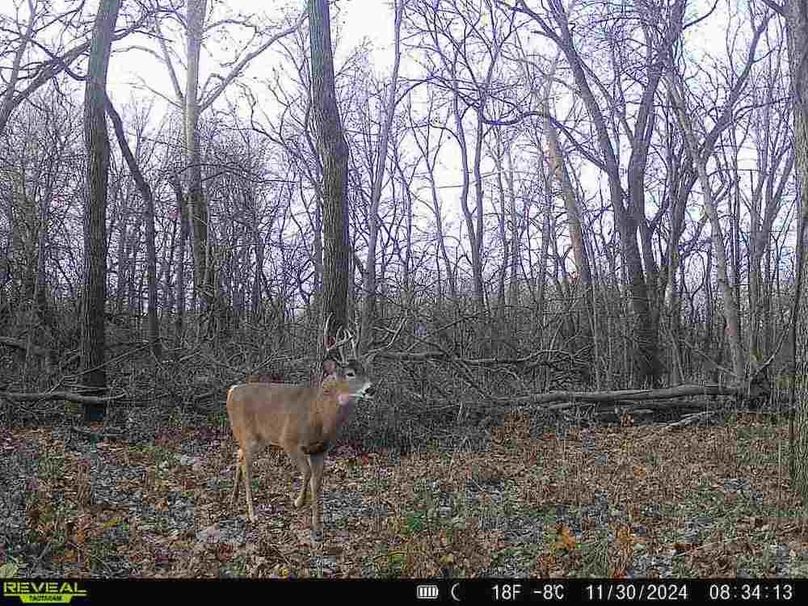 868032069609810-80-4-11302024083412-V-W1000199