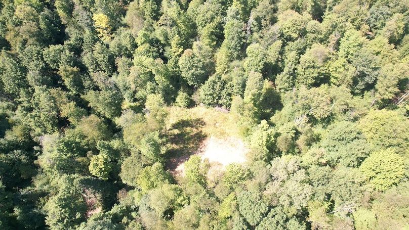 dji_fly_20240906_134314_609_1725644994498_photo