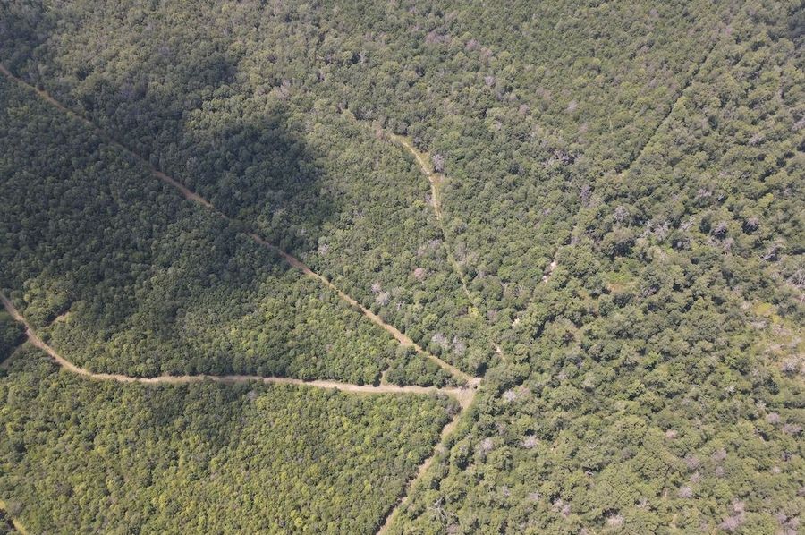 dji_fly_20240623_143438_203_1719171524656_photo