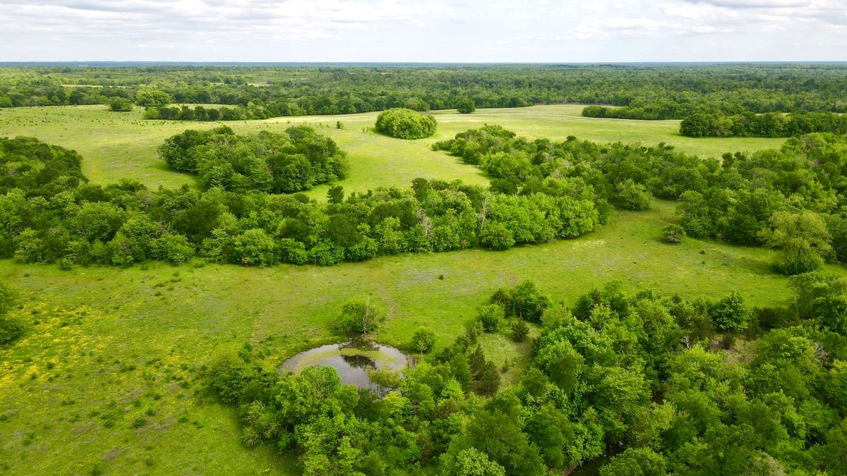 Rolling Combination Ranch In Southeast Oklahoma Whitetail Properties