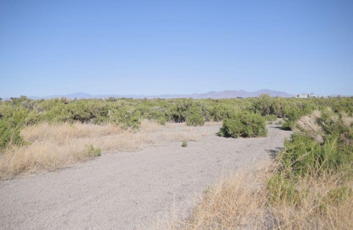 Copy of Copy of DSC_0103