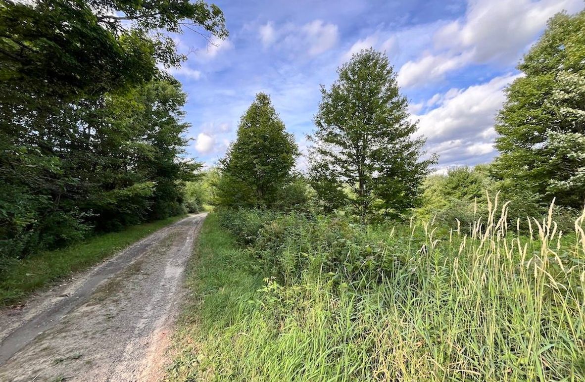 Chemung_59.085_Gutchess_Lumber_Photos_3