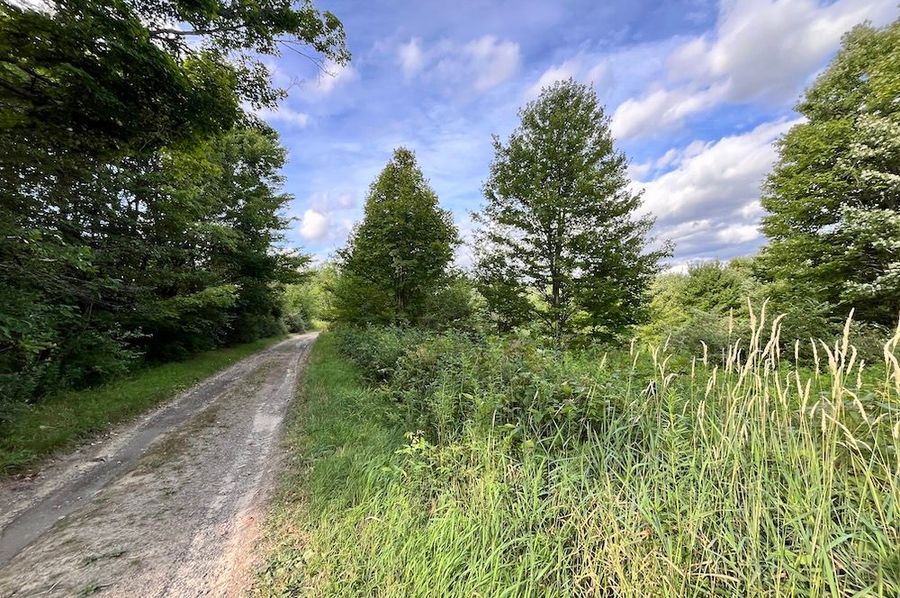 Chemung_59.085_Gutchess_Lumber_Photos_3