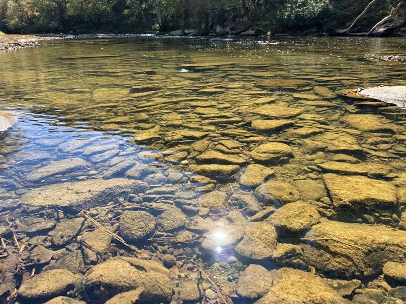 009 pristine clear water in the river-2