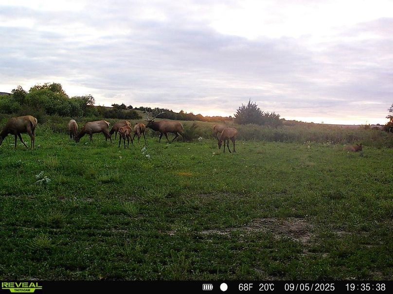 Copy of 868032069649766-100-3-09092025130752-HD-SYFW5078