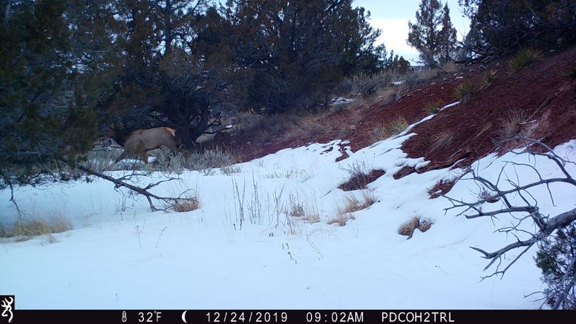 Copy of IMG_0059 (2)