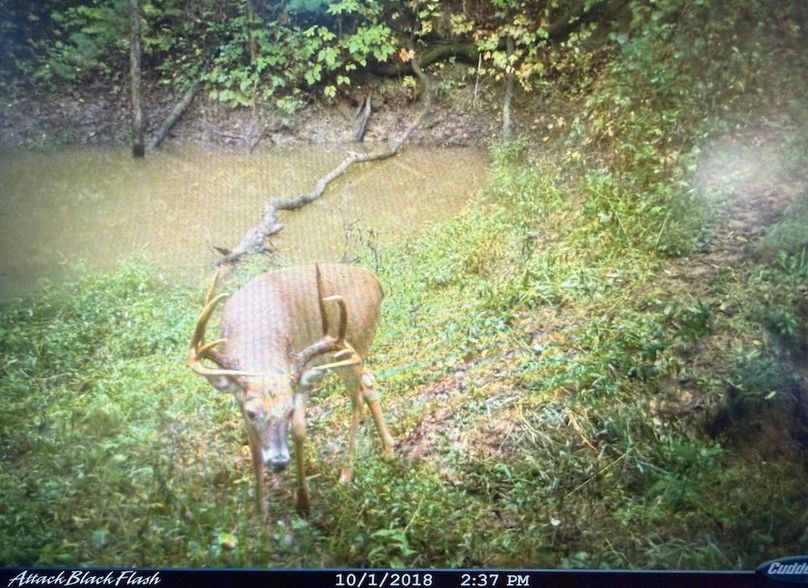 TRAIL CAM 11