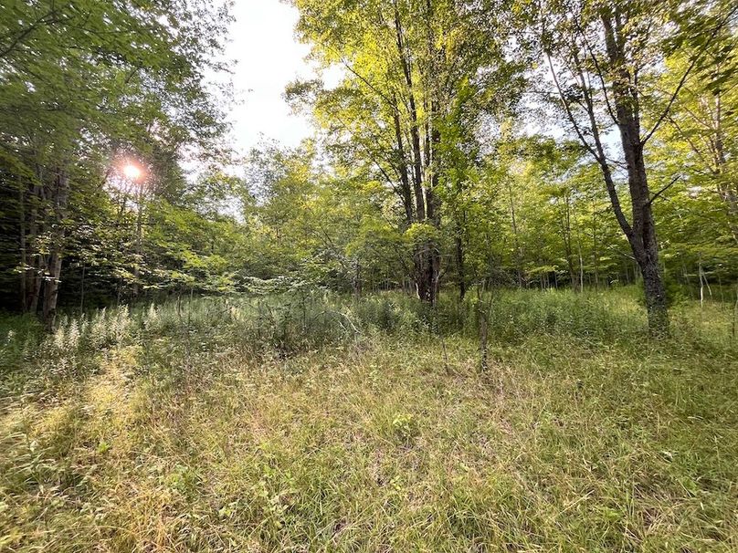 Chemung_78.26+Gutchess_Lumber_Photos_19