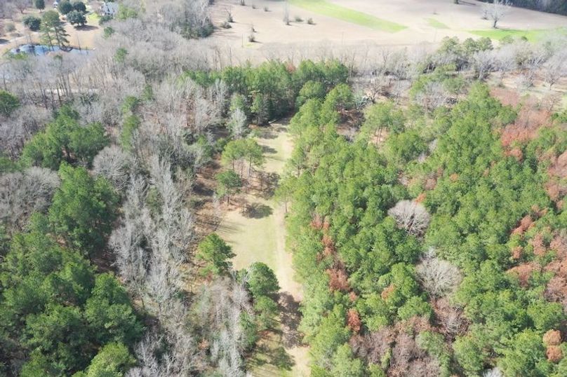 DJI_0177