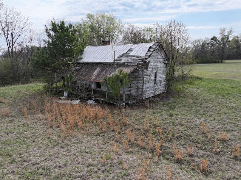 DJI_20260303065557_0603_D