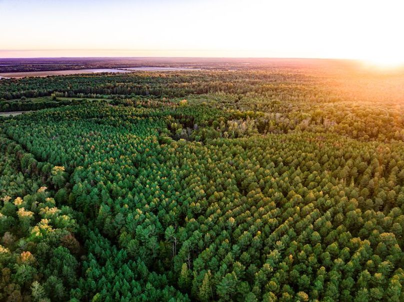 Clay 302.7 Henderson-51