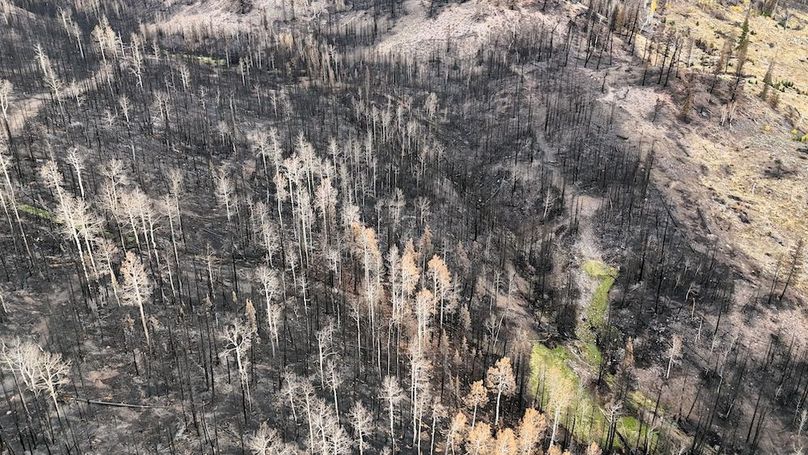 DJI_20250927085146_0107_D